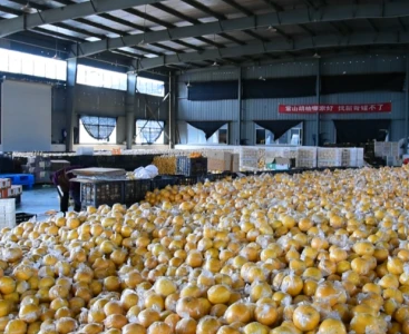 順豐快遞給手動(dòng)液壓搬運(yùn)車(chē)消毒，保障生鮮瓜果食品安全